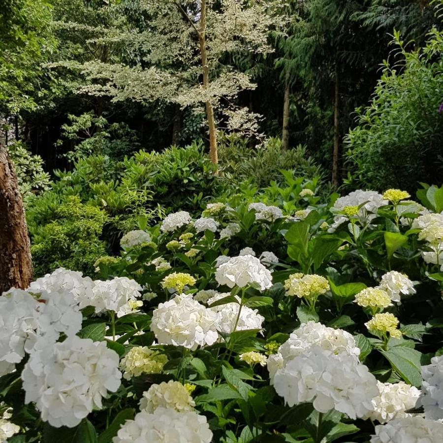 Ribblesdale Gardens Barn Villa Oxford Eksteriør billede